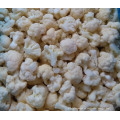 Frozen / IQF coliflor verduras comida